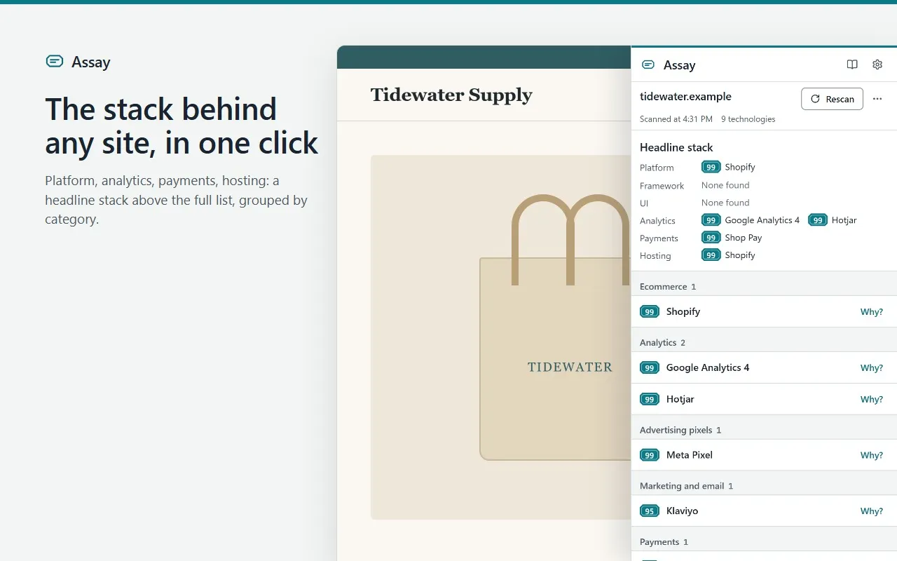 The Assay side panel next to an online store: the headline stack (platform, analytics, payments, hosting) above the technologies grouped by category, each with its score.
